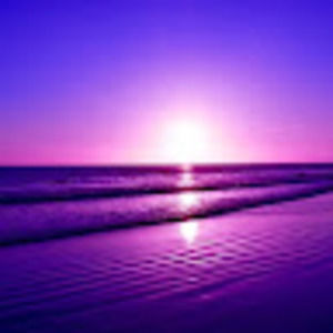 Meet your Posher, Lsvender